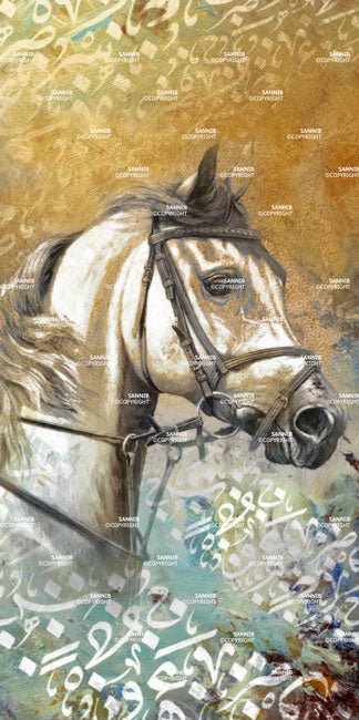 Horse Profile - Tashkeel