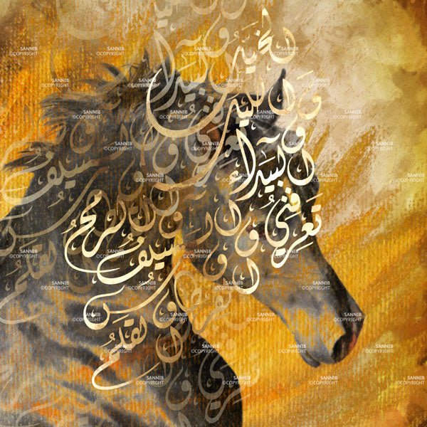 الخيل والليل والبيداء تعرفني والسيف والرمح والقرطاس والقلم